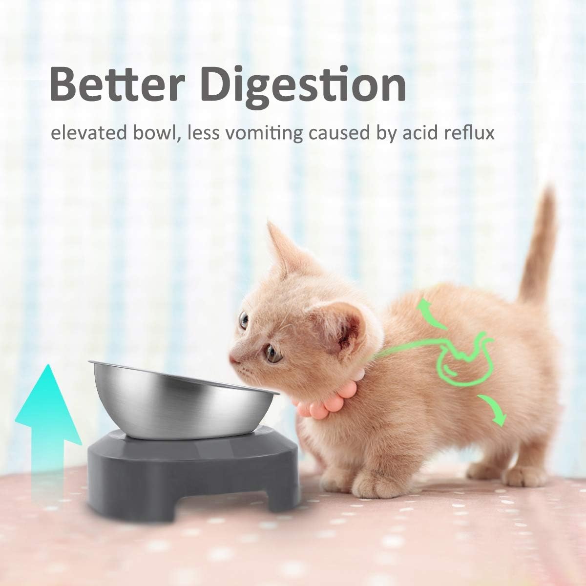 AYADA Raised Cat Food Bowl, Stainless Steel Cat Dish for Dry Wet Food Water, Anti Vomiting Elevated with Stand Ergonomic Lifted Slanted Tilted 15 Angle Metal Single Kitty Kitten Pet Bowl (Single) - Happypetzone.online - Image 2