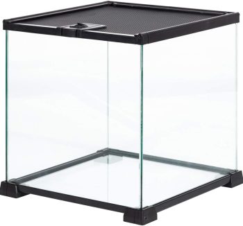 terrarium glass tank
