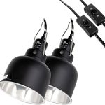 reptile heating lamp