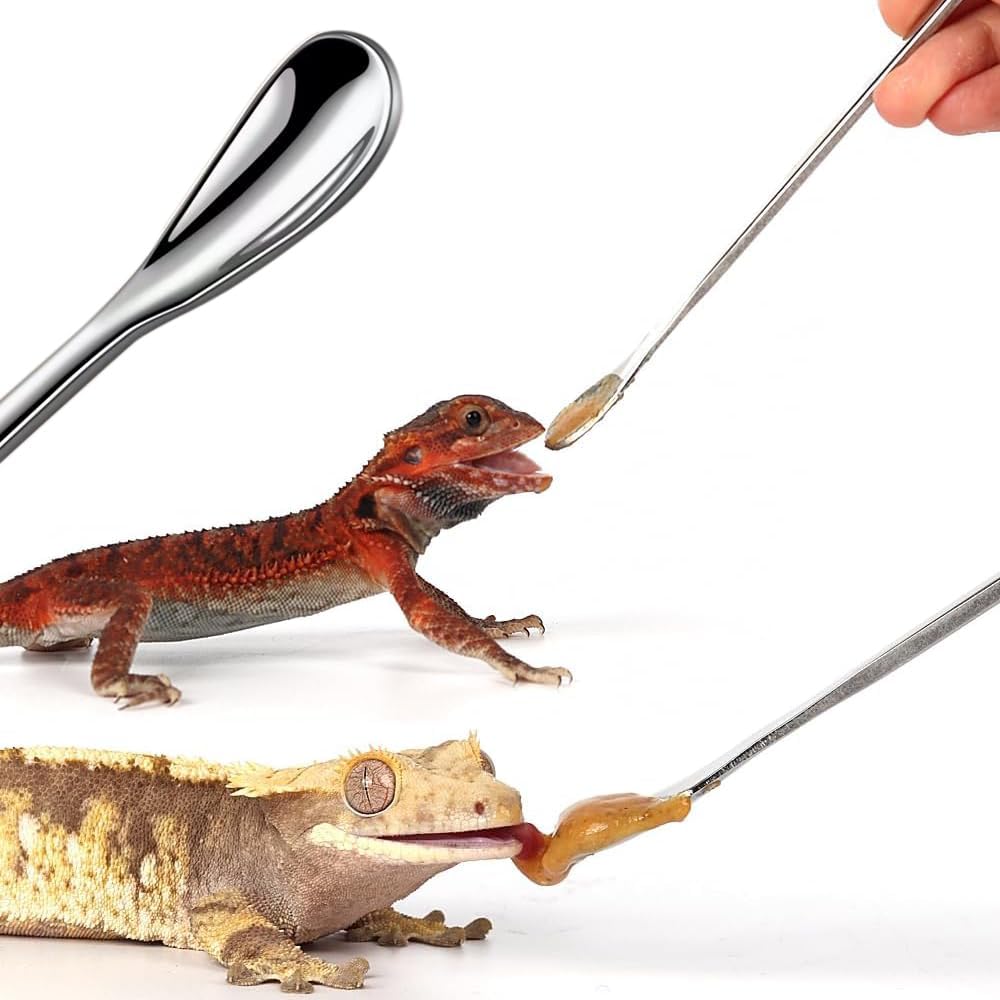 3PCS Reptile Crested Gecko Food Spoons,8.8" Stainless Steel Reptile Spoon,Fruit Mixing StirringFood Feeding Spoons Long Handle Feeding Tool Fit Gecko Lizard Gargoyle Bearded and Other Small Animals - Happypetzone.online - Image 4