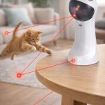 laser cat toy automatic