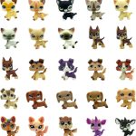 small pet toys set