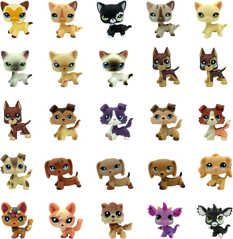 small pet toys set