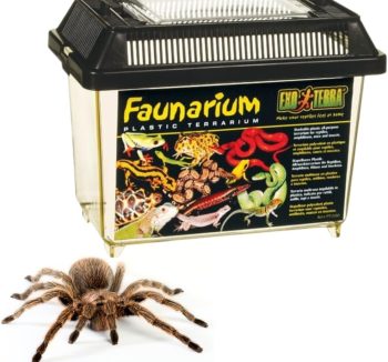 reptile tank amazon best