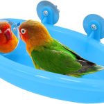 cheap bird cleaning supplies