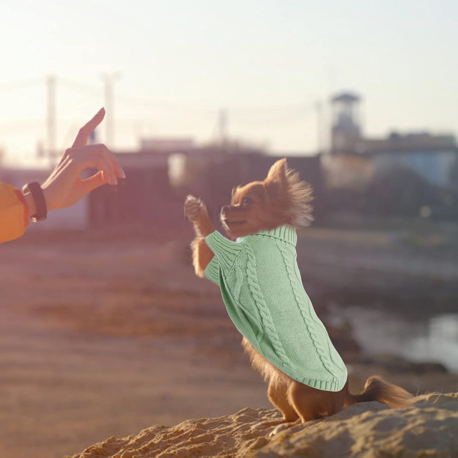 Queenmore Small Dog Pullover Sweater, Cold Weather Cable Knitwear, Classic Turtleneck Thick Warm Clothes for Chihuahua, Bulldog, Dachshund, Pug, Yorkie (Green, Small) - Happypetzone.online - Image 7