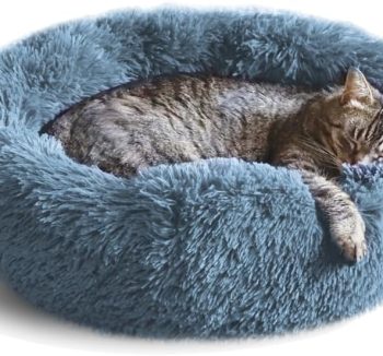 cat bed soft