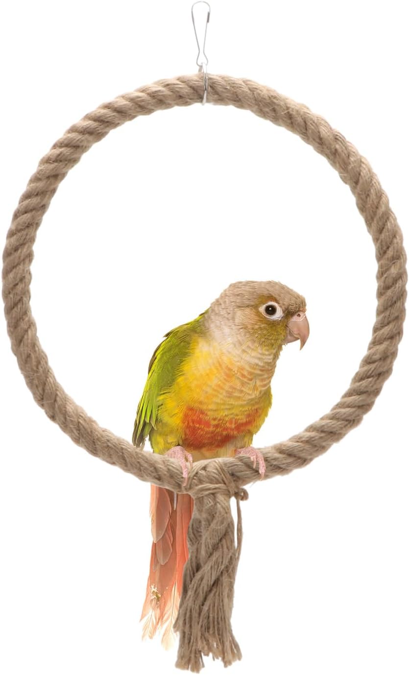 bird swing durable