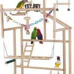 bird play perch stand