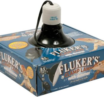 best reptile heat lamp
