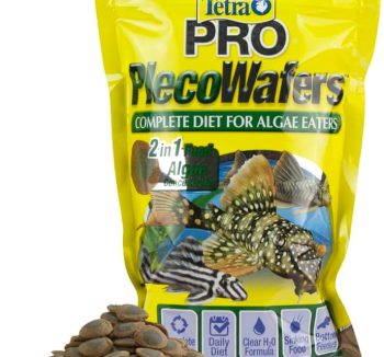 tropical fish food