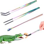 reptile feeding supplies