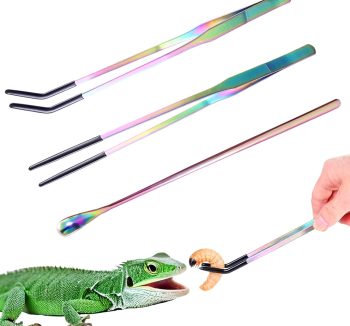 reptile feeding supplies
