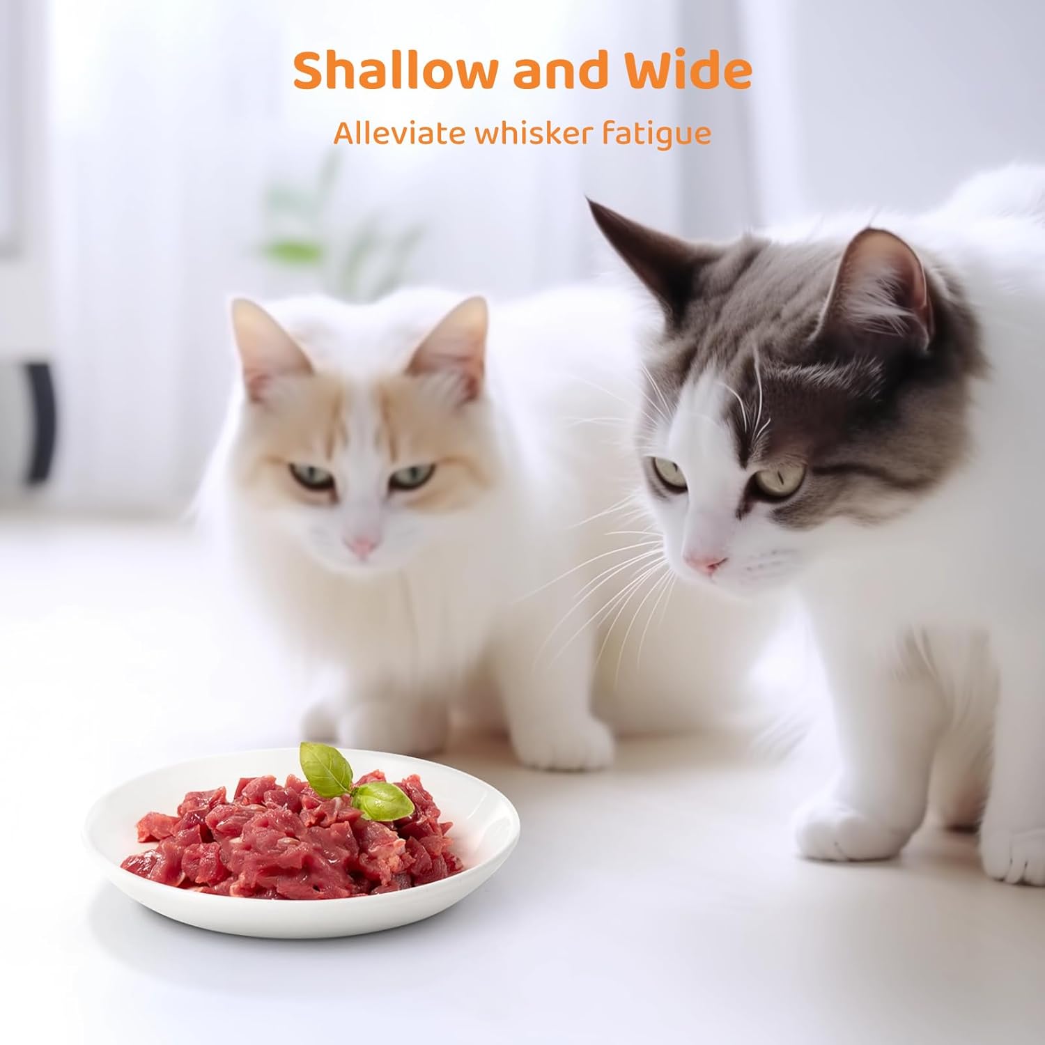 Ceramic Cat Food Plates: Cat Wet Food Bowls/Whisker Fatigue Cat Dishes & Shallow Bowls for Kittens and Small Animals - Happypetzone.online - Image 3