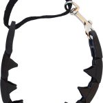 dog leash training