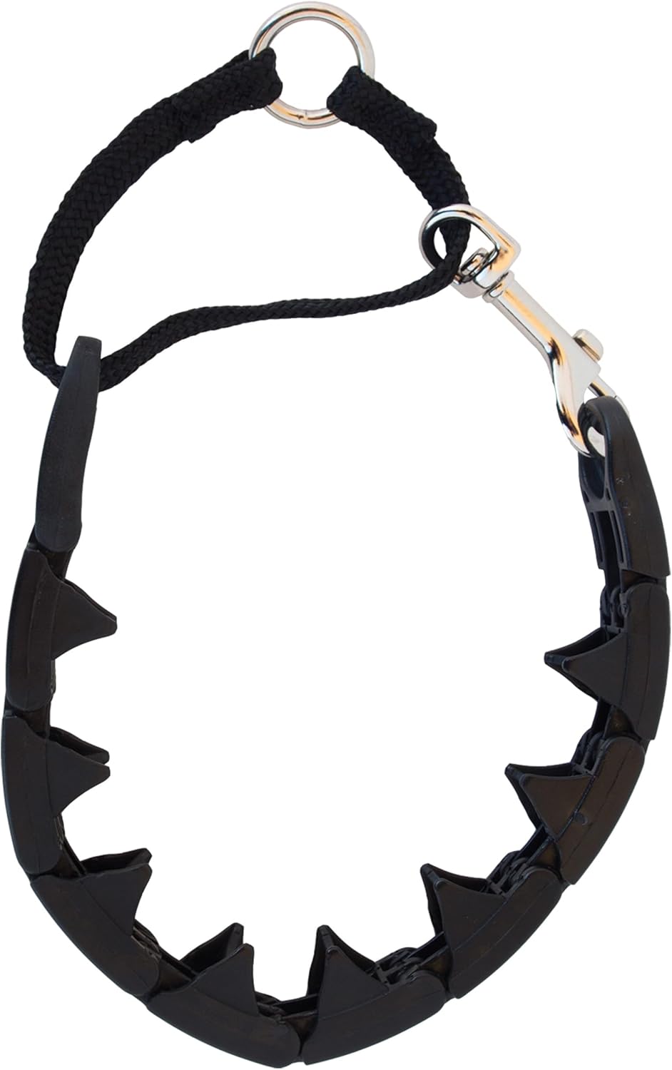 dog leash training