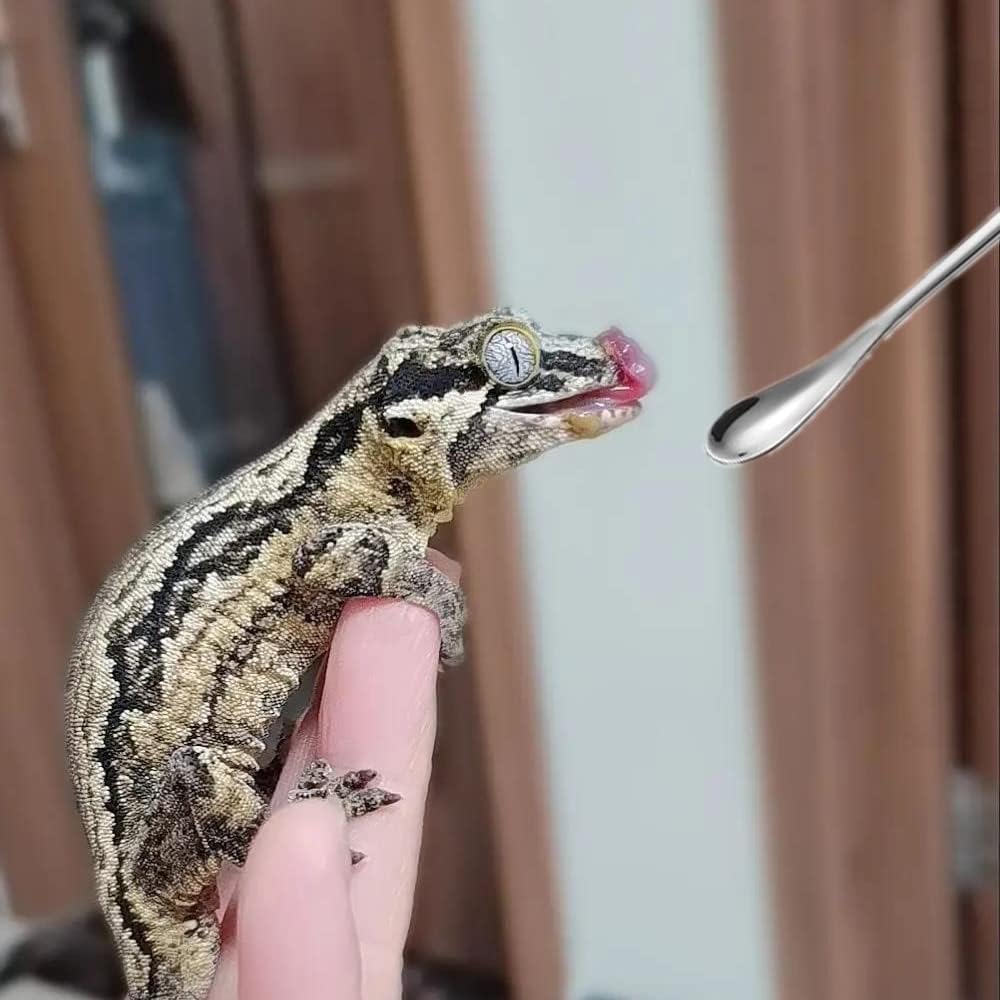 3PCS Reptile Crested Gecko Food Spoons,8.8" Stainless Steel Reptile Spoon,Fruit Mixing StirringFood Feeding Spoons Long Handle Feeding Tool Fit Gecko Lizard Gargoyle Bearded and Other Small Animals - Happypetzone.online - Image 2