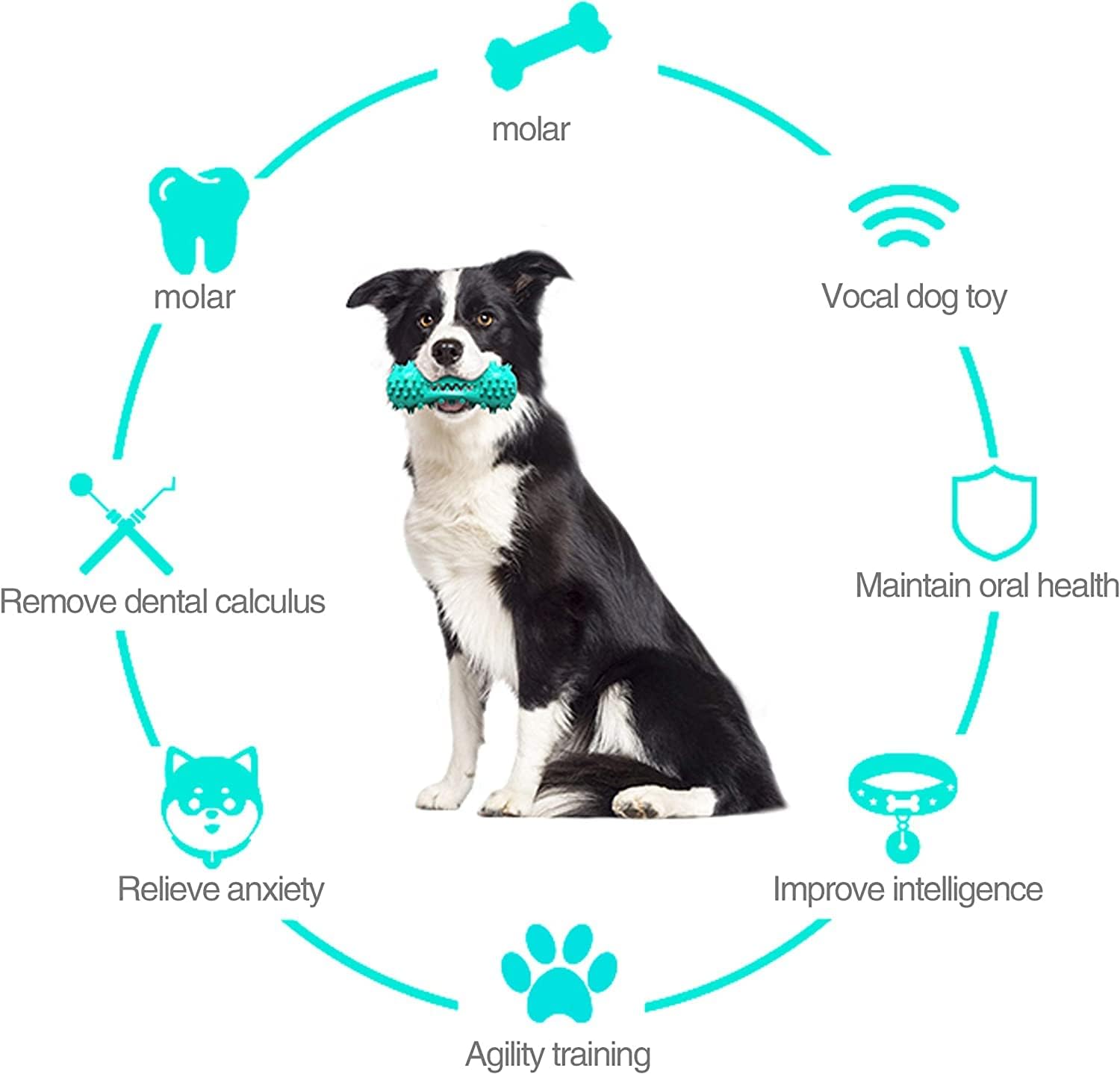 Toothbrush Dog Chew Toy, Stick Bone for Dog Teeth Cleaning, Tooth Brushing, Teething Chew Toys, Dental Oral Care for Small, Medium and Large Dogs(Blue) - Happypetzone.online - Image 6