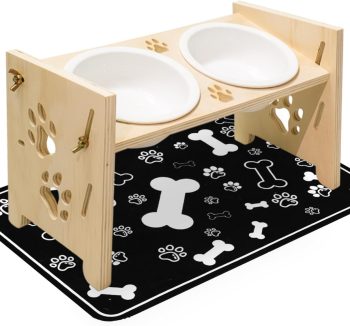 natural cat food