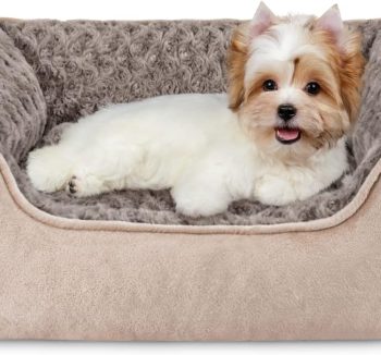 dog bed durable