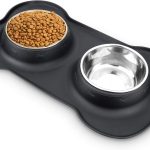 best dog food