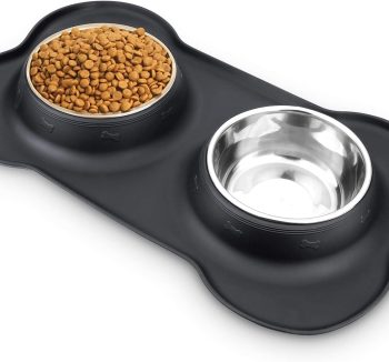 best dog food