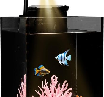 small fish tank desktop