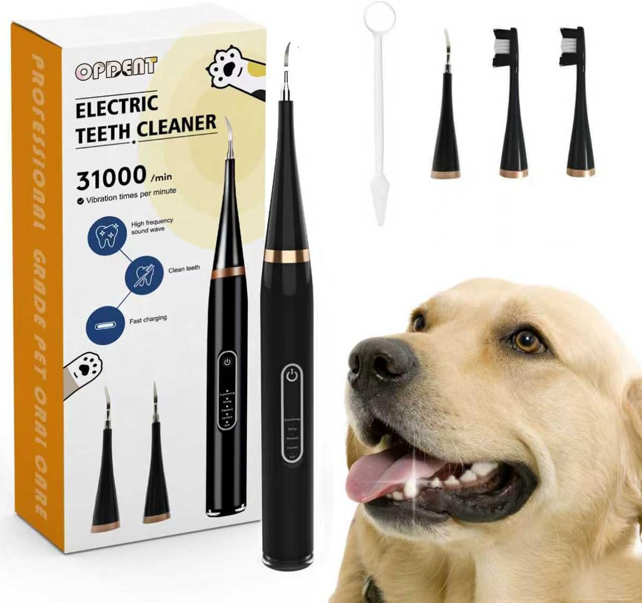 dog teeth cleaning kit