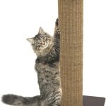 cat scratching post tall
