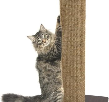 cat scratching post tall