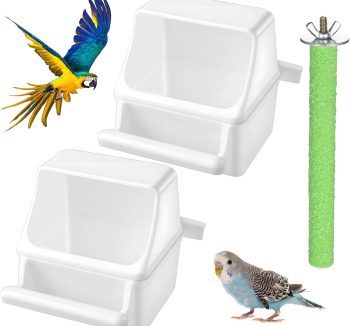 canary bird food