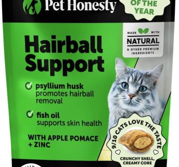 cat skin and coat supplement