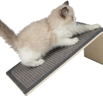 cat scratch post durable