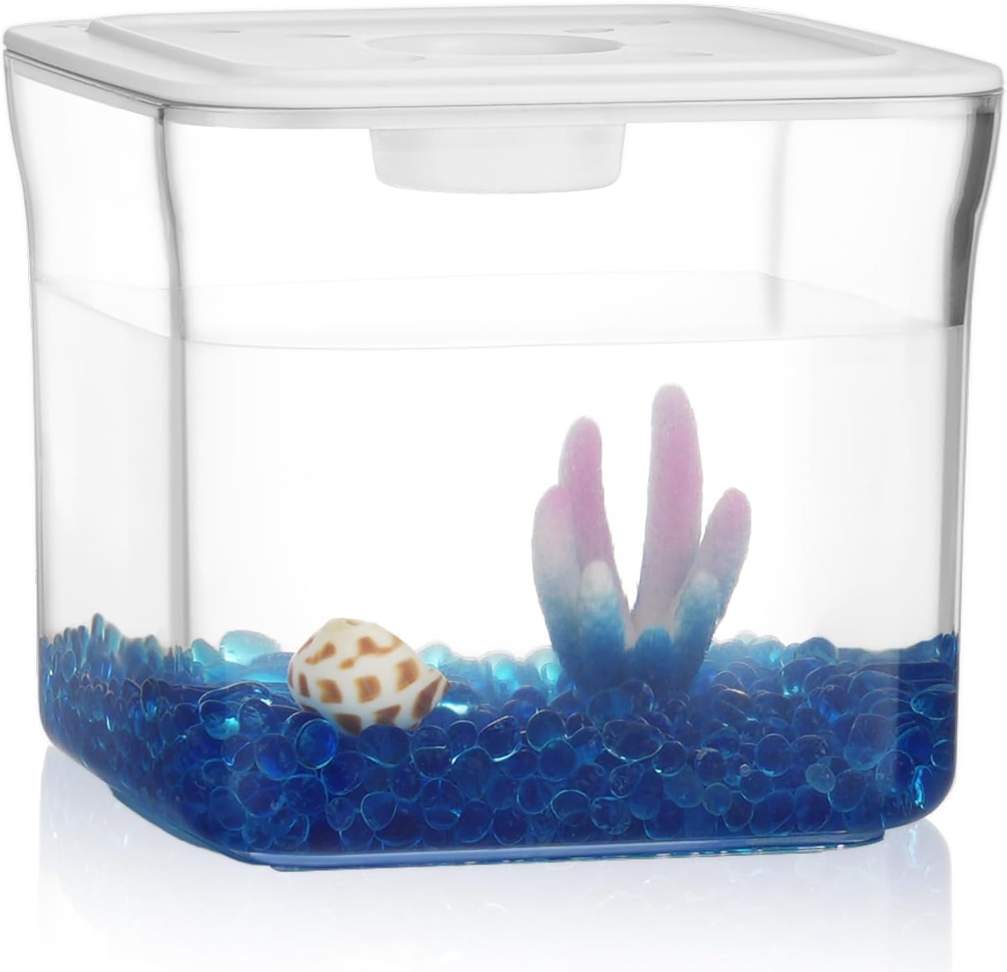 small fish tank desktop