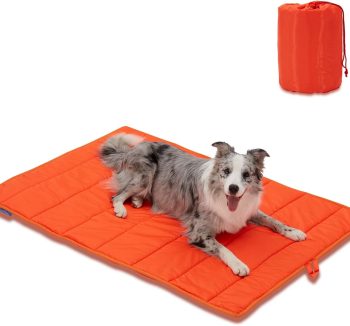 dog training mat