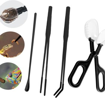 reptile food starter kit