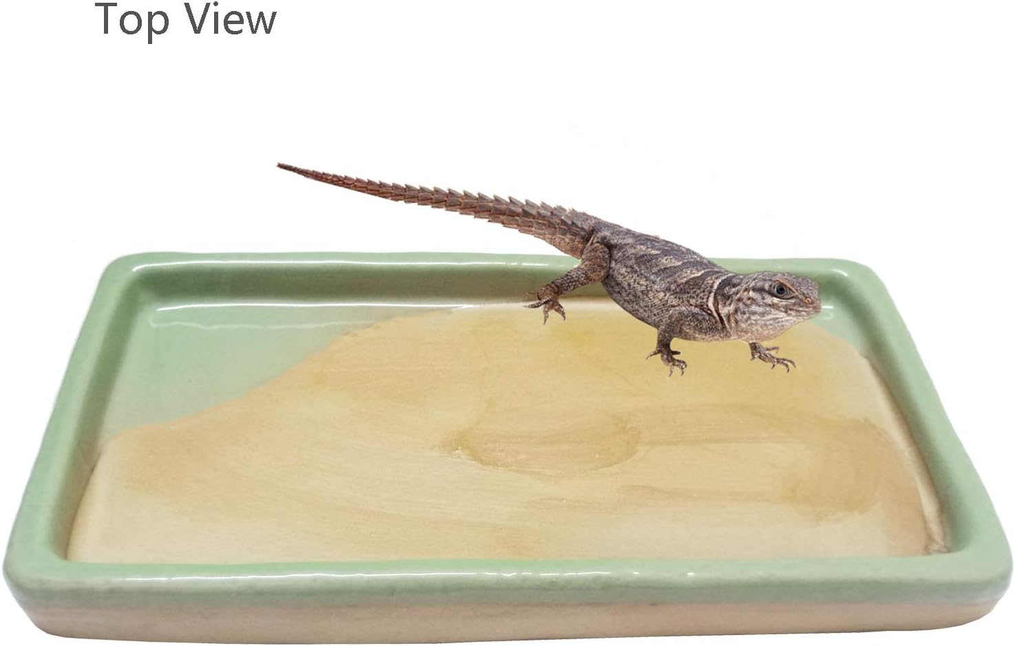 Reptile Feeding Dish Bowl Food and Water Bowl Tortoise Dish Reptile Tank Decor, Heavy Duty Ceramic Feeding Dish, Large Size - Happypetzone.online - Image 3