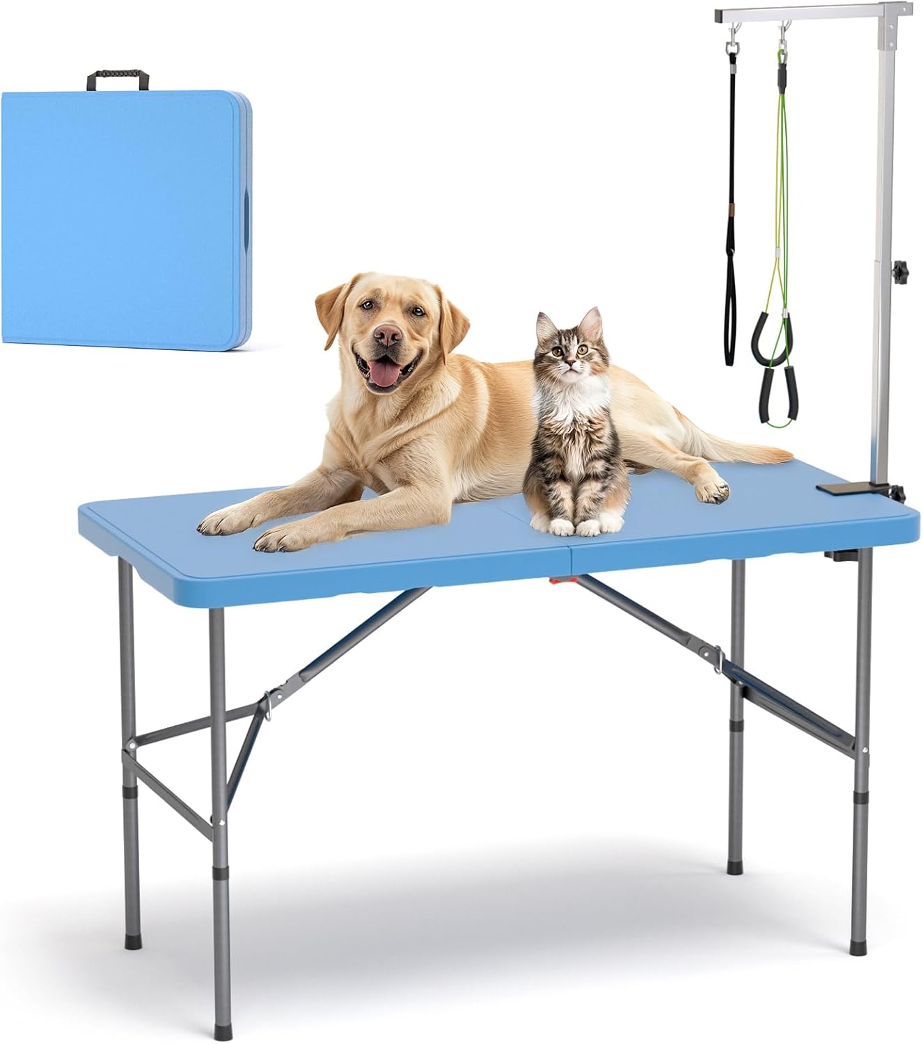 dog grooming table