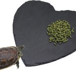 natural reptile food