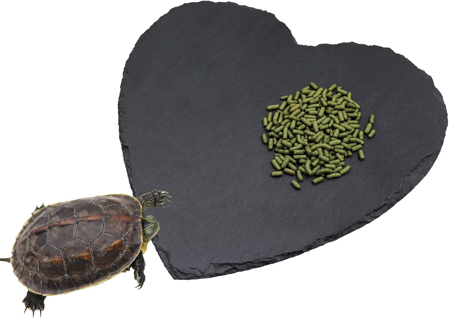 natural reptile food