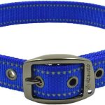 dog collar nylon strong