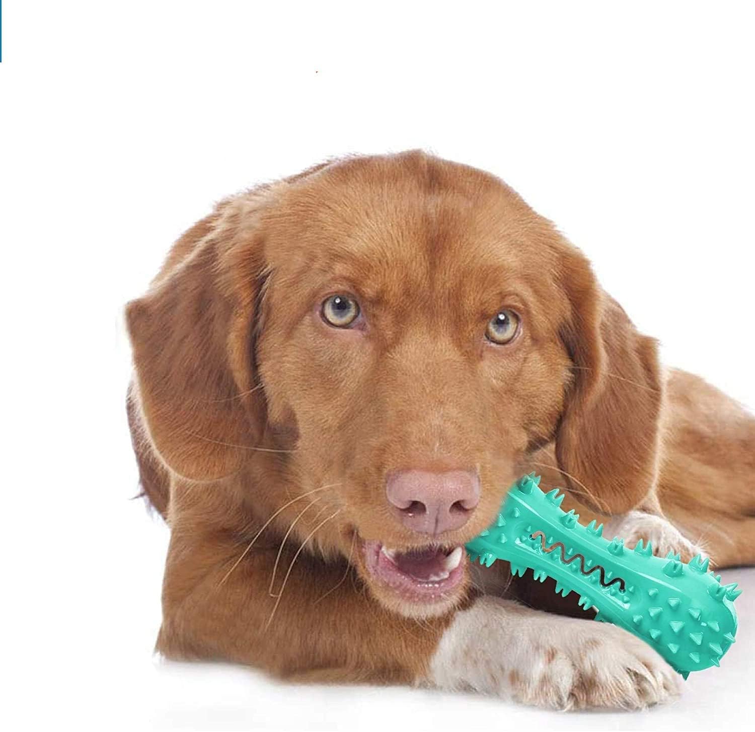 Toothbrush Dog Chew Toy, Stick Bone for Dog Teeth Cleaning, Tooth Brushing, Teething Chew Toys, Dental Oral Care for Small, Medium and Large Dogs(Blue) - Happypetzone.online - Image 7
