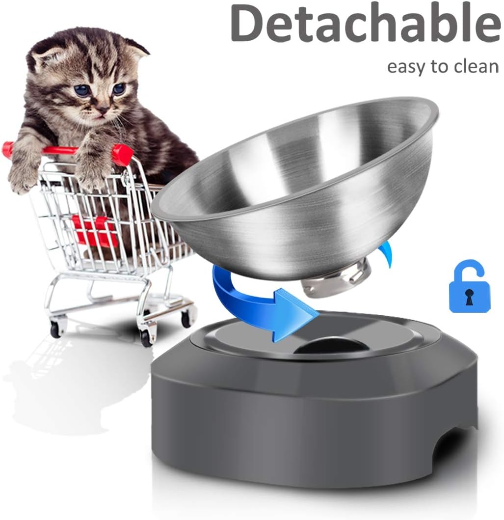 AYADA Raised Cat Food Bowl, Stainless Steel Cat Dish for Dry Wet Food Water, Anti Vomiting Elevated with Stand Ergonomic Lifted Slanted Tilted 15 Angle Metal Single Kitty Kitten Pet Bowl (Single) - Happypetzone.online - Image 5