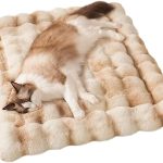 cat bed heated