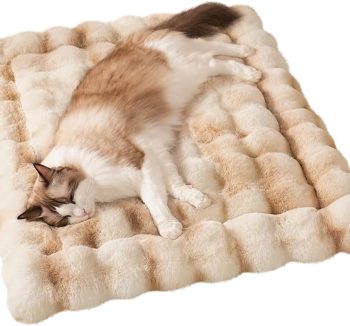 cat bed heated