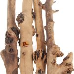 reptile climbing logs