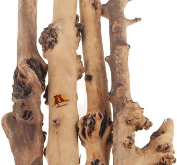 reptile climbing logs