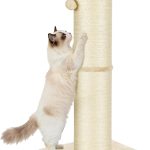 cat scratch post durable