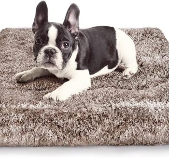 dog crate bed soft