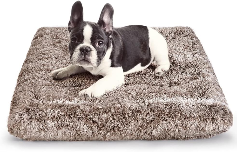 dog crate bed soft